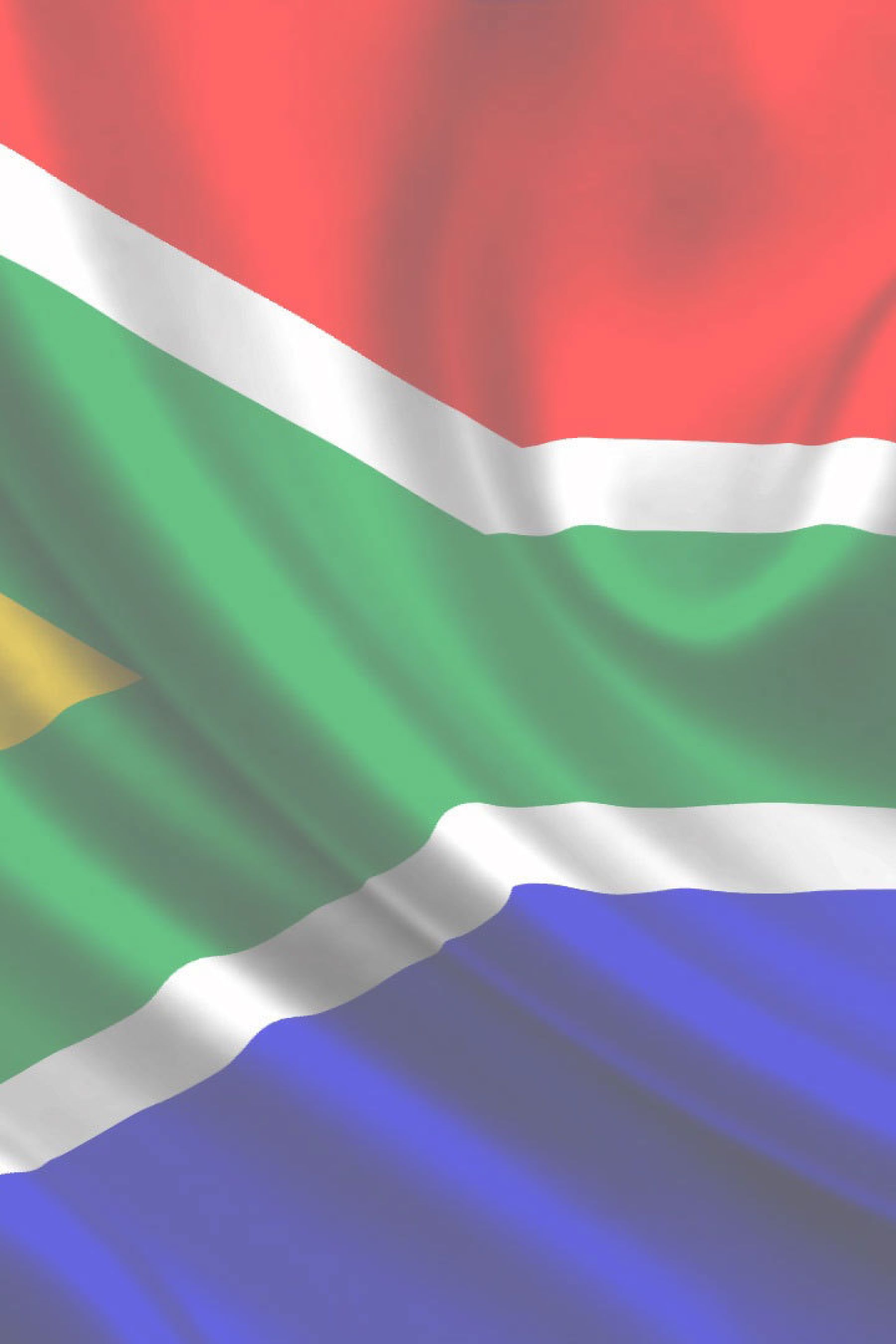 Media Statement Hate Speech And Displays Of The Apartheid Flag Nelson Mandela Foundation 1464