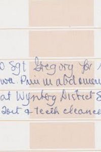 Teeth Cleaning Diary Entry